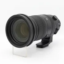 sigma-60-600mm-f-4-5-6-3-dg-dn-os-sports-so.jpg