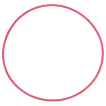om-system-o-ring-voor-pt-058-onderwaterbehu.webp