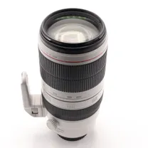 canon-ef-100-400mm-f-4-5-5-6-l-is-usm-ii-dr.jpg