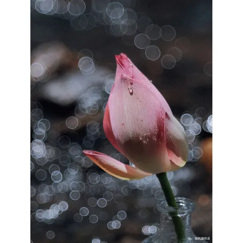 TTArtisan-100mm-F2-8-bubble-bokeh-Leica-M_6.jpg