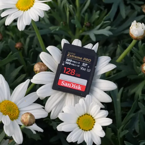 ke_voorjaarsfavorieten2025_pdp_SanDisk Extreme PRO V60 SDXC 128GB.webp