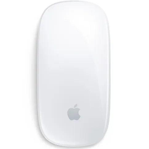 1_apple_magicmouse_multitouch.jpg