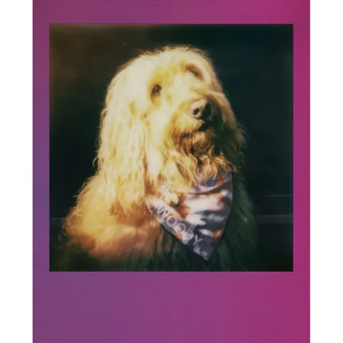 Polaroid-GO-2x8-Film-Pack-Gradient-Frame_8.jpg