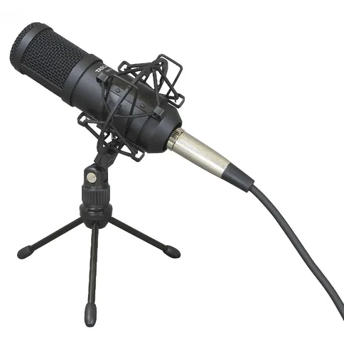 Tascam-tm70_2.jpg