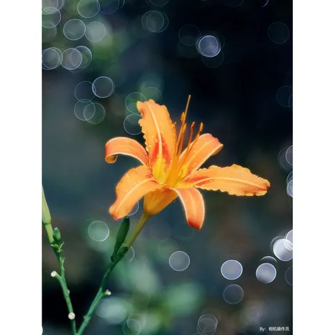 TTArtisan-100mm-F2-8-bubble-bokeh-Leica-M_5.jpg