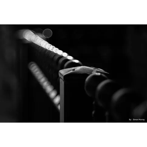 TTArtisan-100mm-F2-8-bubble-bokeh-Leica-M_4.jpg