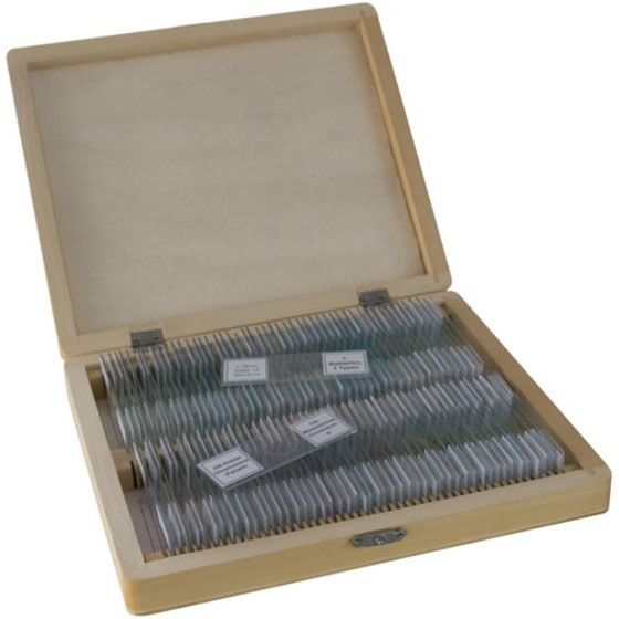 Bresser Microscoop preparaten 100 stuks